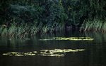 IMG_8856