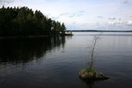IMG_8858