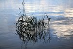 IMG_8867