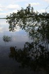 IMG_8874