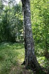 IMG_8875