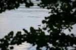 IMG_8878