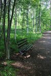 IMG_8884