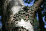 IMG_8897