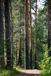 IMG_8901
