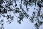 IMG_8907
