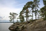 IMG_8927