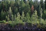 IMG_9077