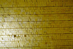 DSCF7916
