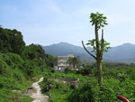 IMG_0519