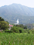 IMG_0540