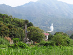 IMG_0541
