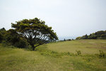 DP0Q3577