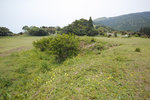 DP0Q3580