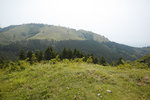 DP0Q3599