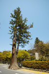 DP0Q1480