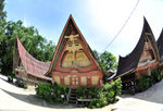 MDN_3361