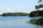 _SCN0246