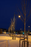 DSC04851