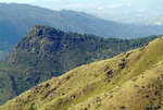 TAI MO SHAN 10