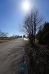 DSC00077