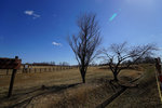 DSC00078