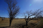 DSC00080