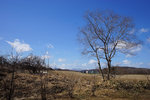 DSC00084