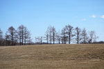 DSC04789