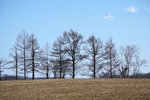 DSC04790