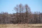 DSC04792