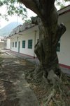TUNG CHUNG OLD TOWN 6