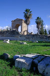 DSCF7648