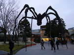 P1020525