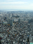 P1010778