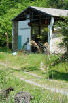 DSC00003