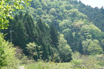 DSC00022