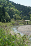 DSC00044