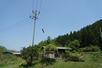 DSC00051