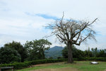 DSCF0345