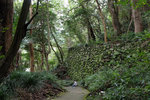DSCF0356