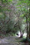 DSCF0360