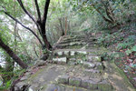 DSCF4334
