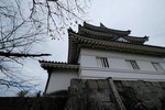 DSCF4361