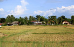 IMG_8761
