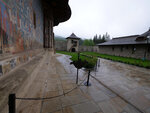 P1477425