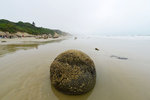 CHC_2240