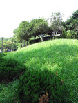 IMG_0228