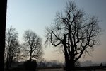 DSC_1876
