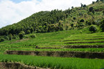 DSC09376